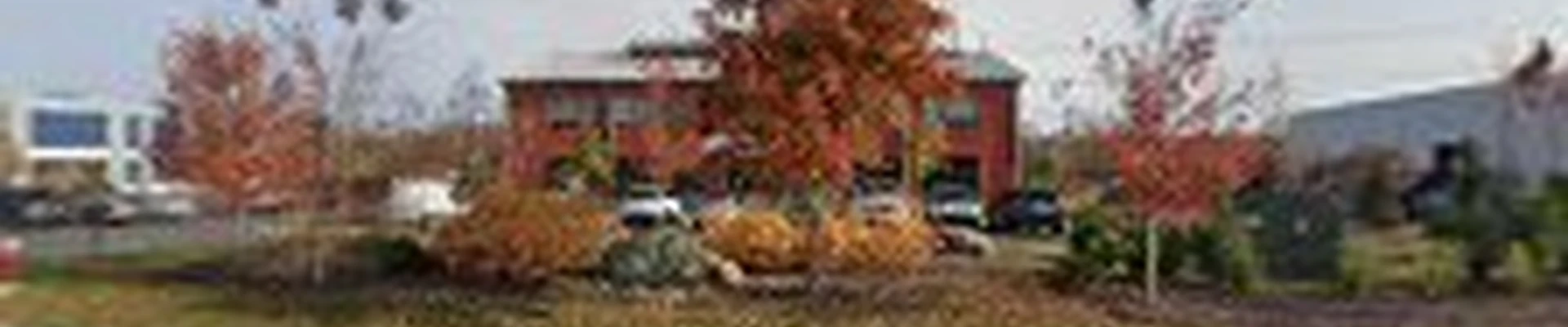 Complete Landscaping Service Inc