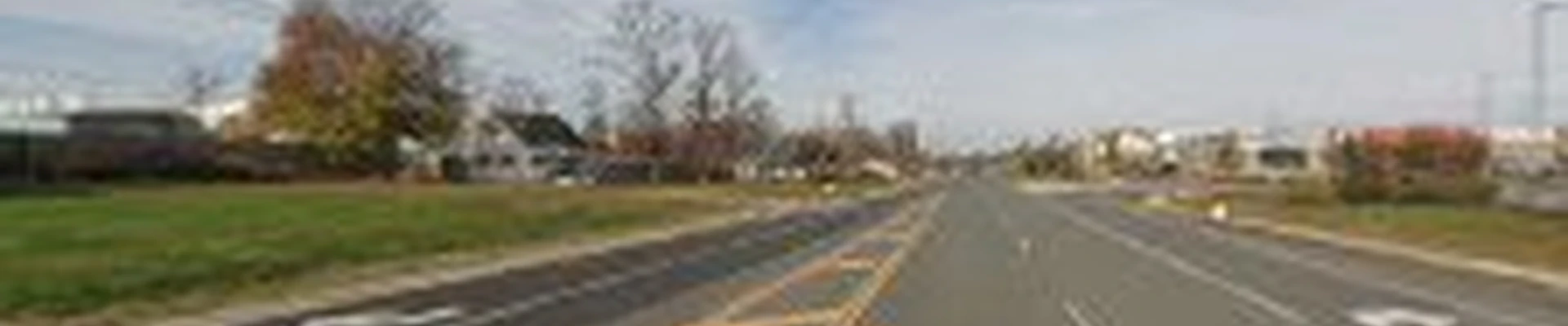 Level Green Landscaping Inc