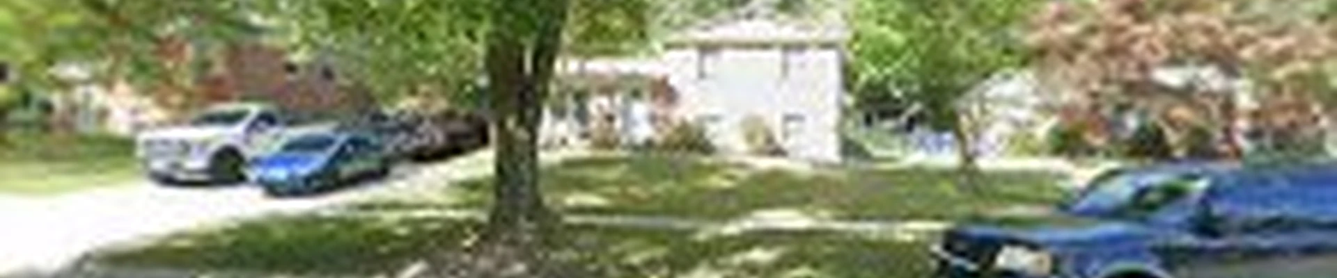 Carlos landscaping
