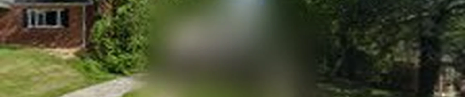 Dandelion Foodscapes