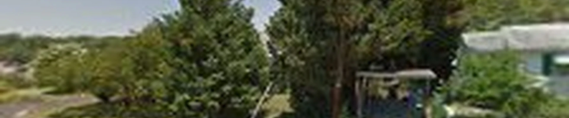 Green Woods Tree Service LLC
