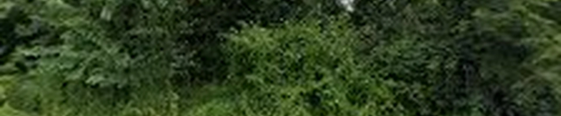 Green Season Landscaping