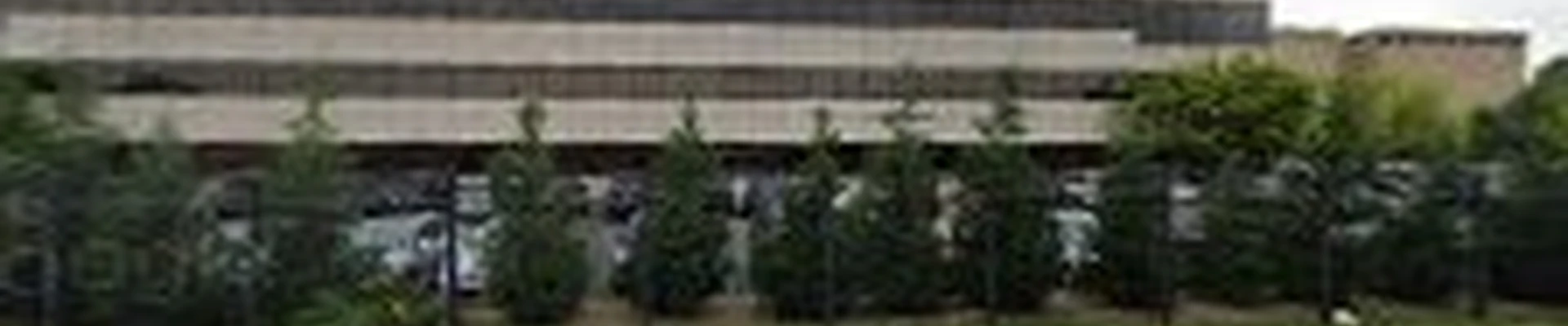 Memphis Services