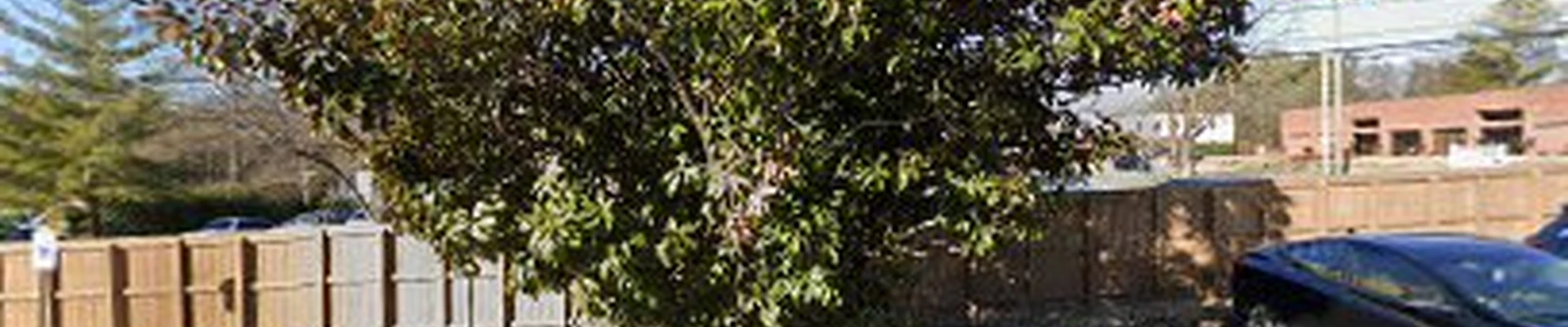 American Landscaping Partners