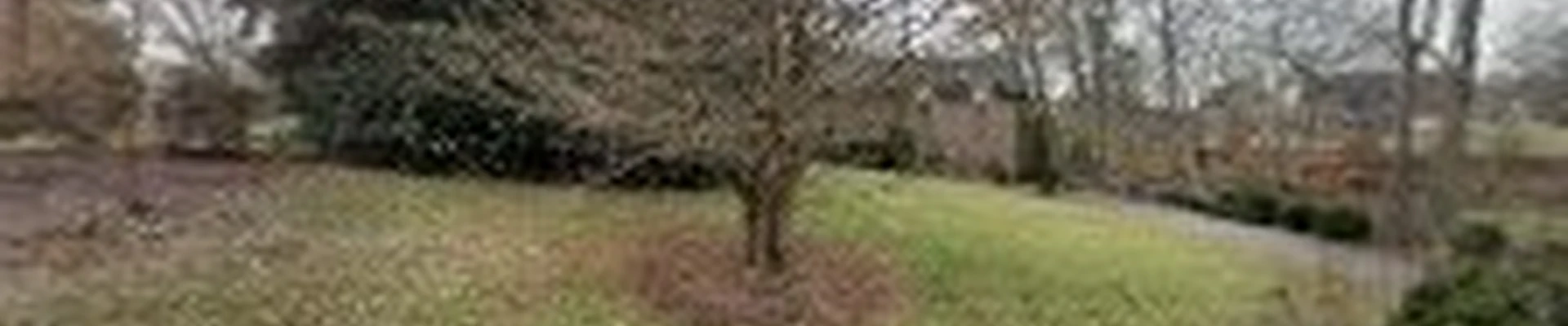 Crenshaw Landscaping, LLC