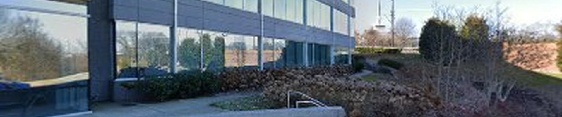 Bloom Tree Service & Landscaping