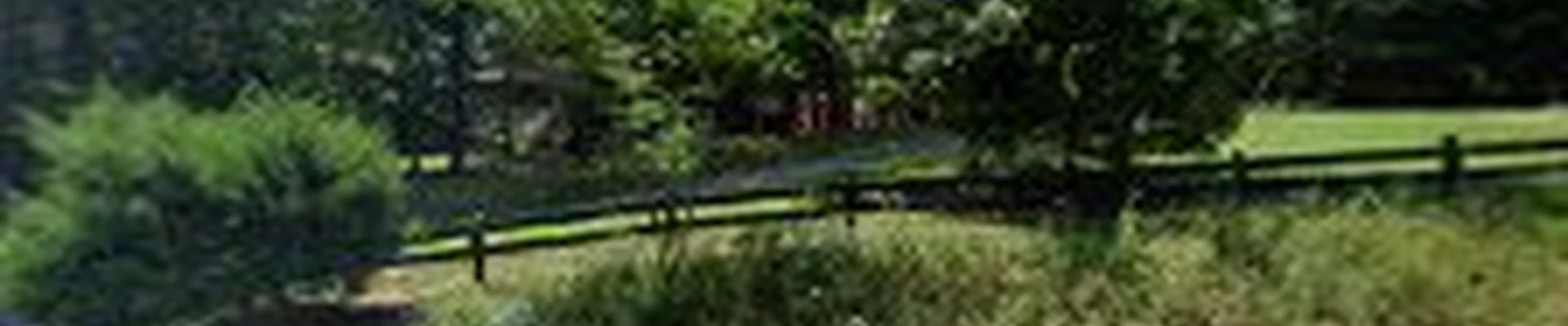 Korfhage Garden Designs