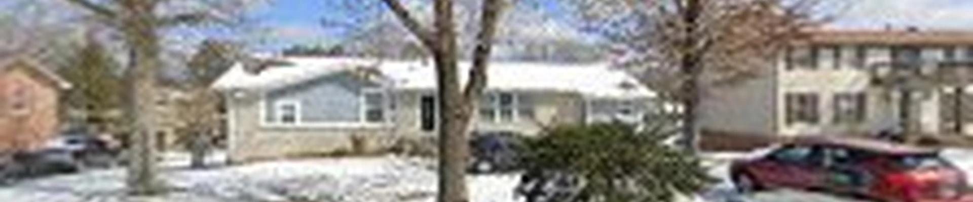Sky Tree Services LLC