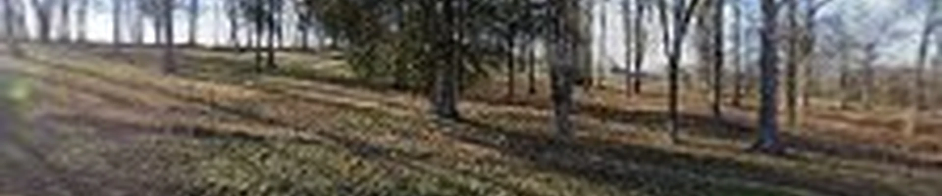 Greenhand Landscaping