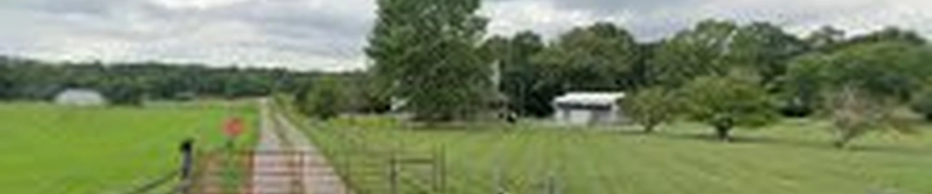 Grass Monkey Lawn Care LLC