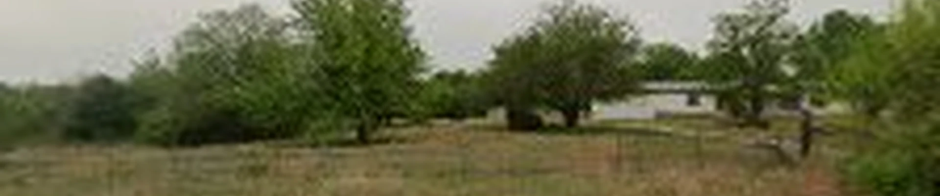 Greenscape Lawn Management