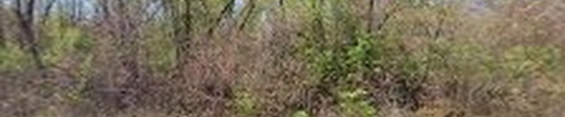 whitetail landscaping