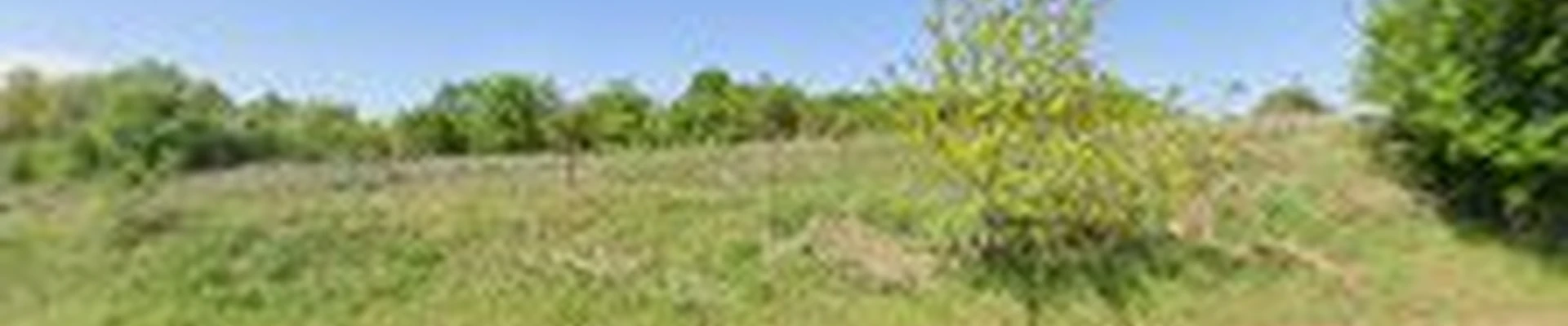Heartland Landscape Group