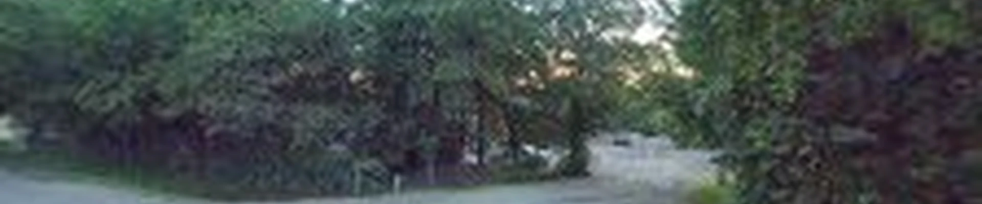 Nelson Landscaping