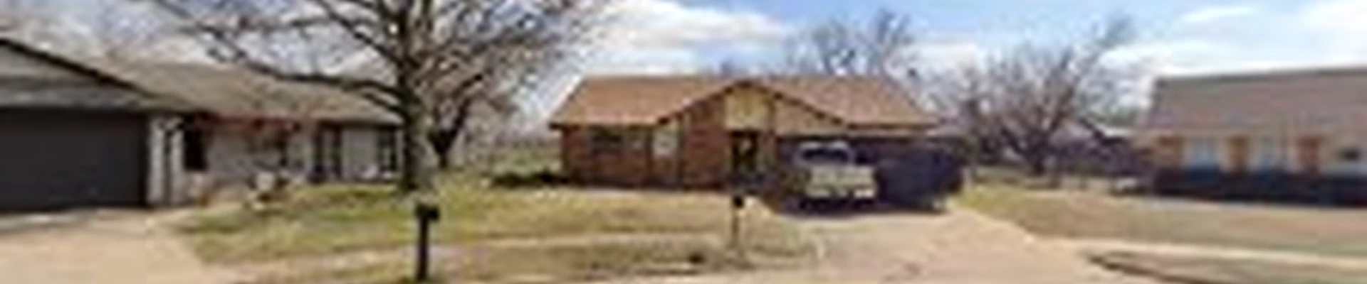Moose’s Christmas lights and lawncare