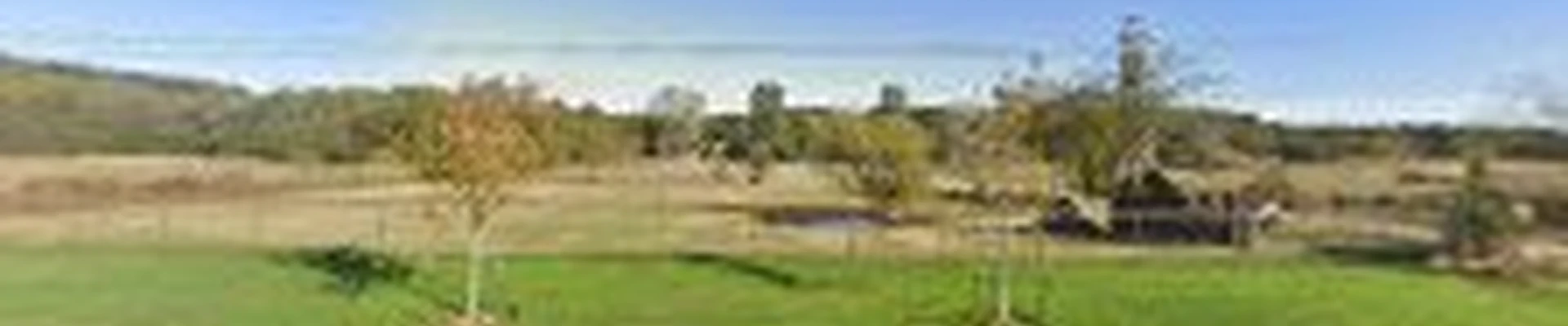 Evergreen Landscaping