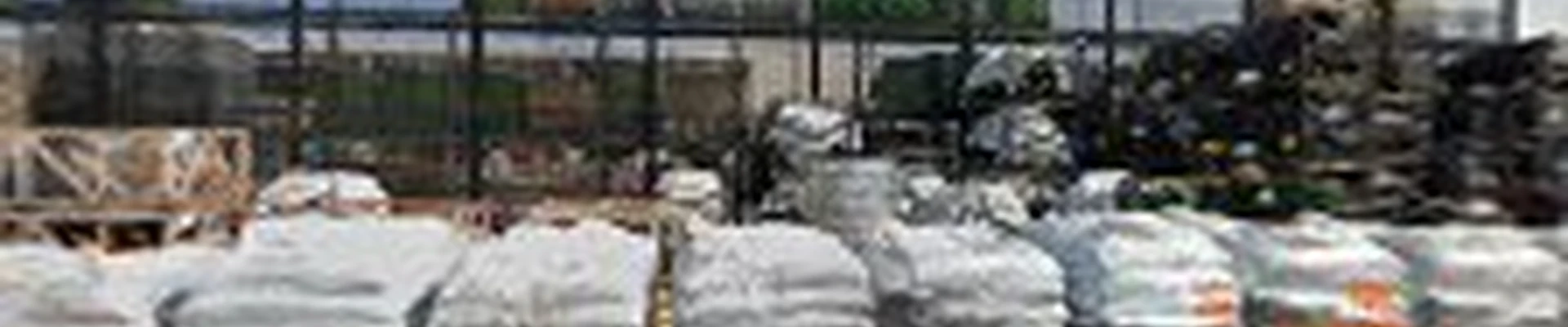 Garden Center at The Home Depot