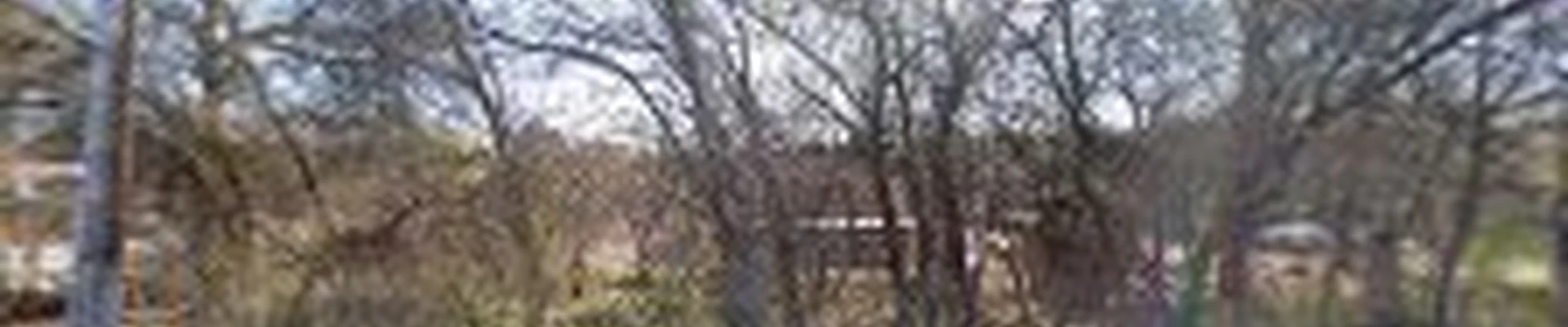 Nelson Pools OKC