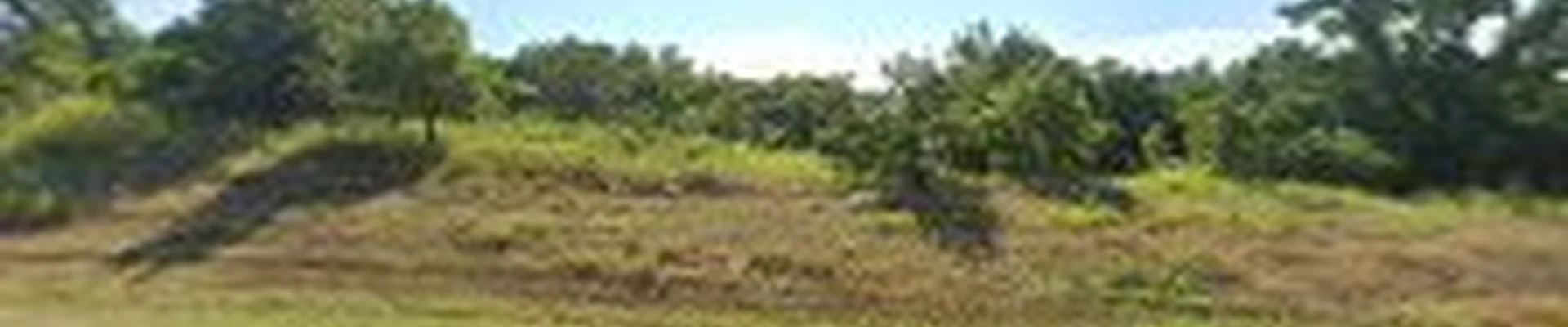 Edmond Landscapes