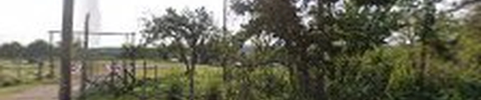 Dr. Green Thumb Landscapes