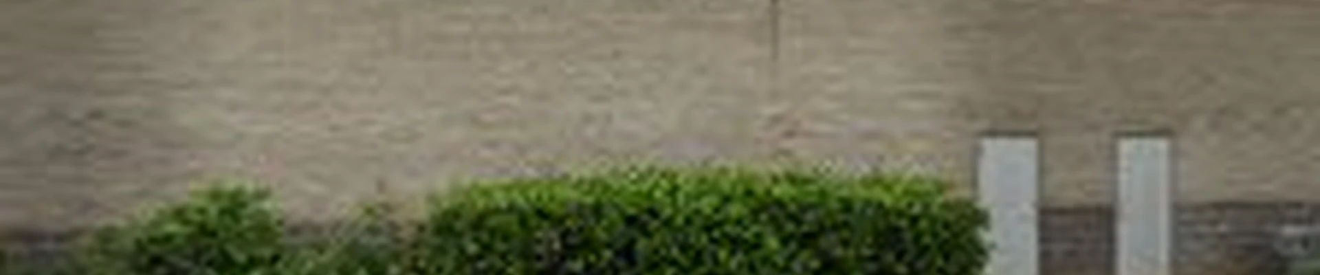 Ideal Lawn & Landscape