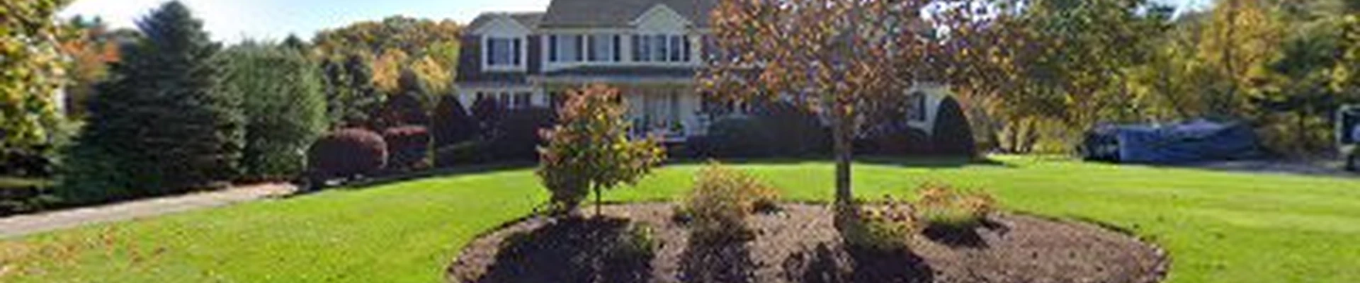 Colligan Landscaping