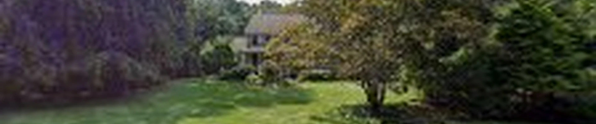 Wayne Carboni Landscaping