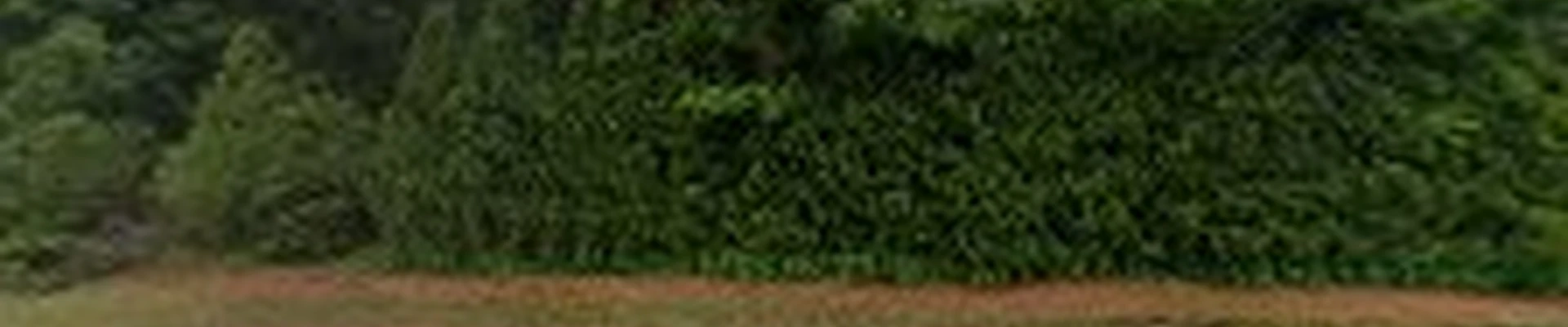 Lemus Landscaping Services