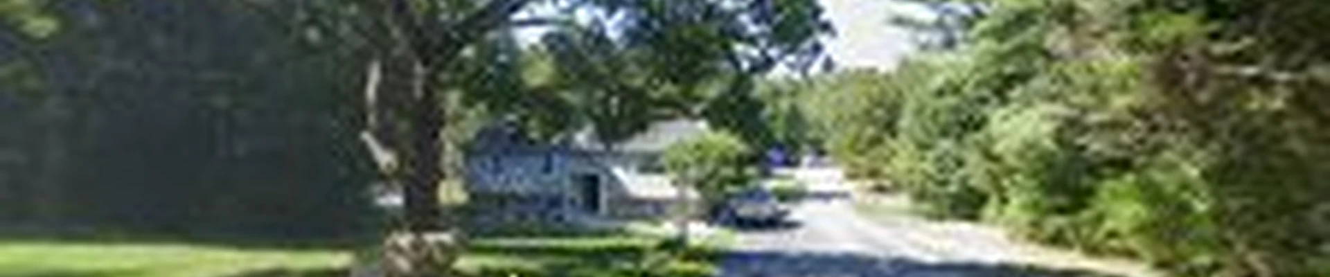 Troy Tree & Landscaping