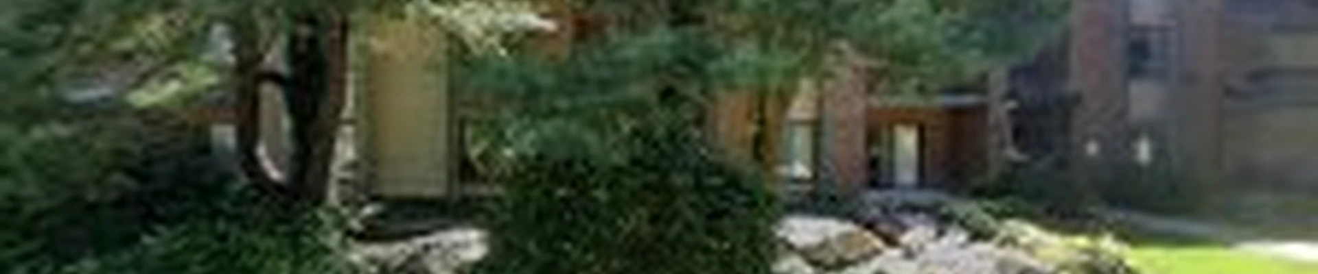 Dino Landscape Design