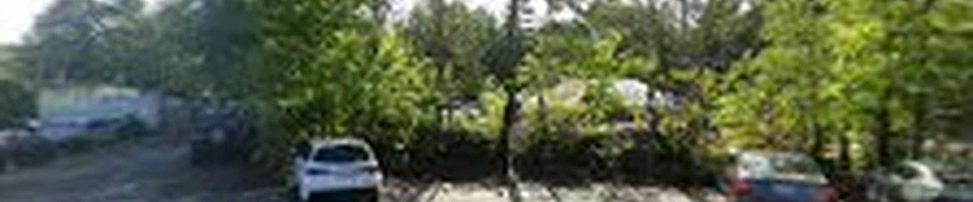 Mass Landscaping Inc