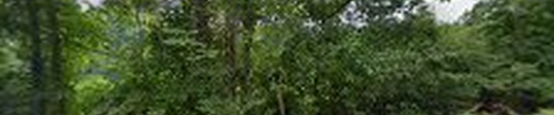 Ryans Landscape Construction
