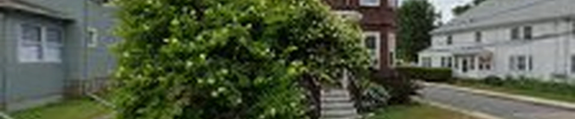 Ideal Lawn Care