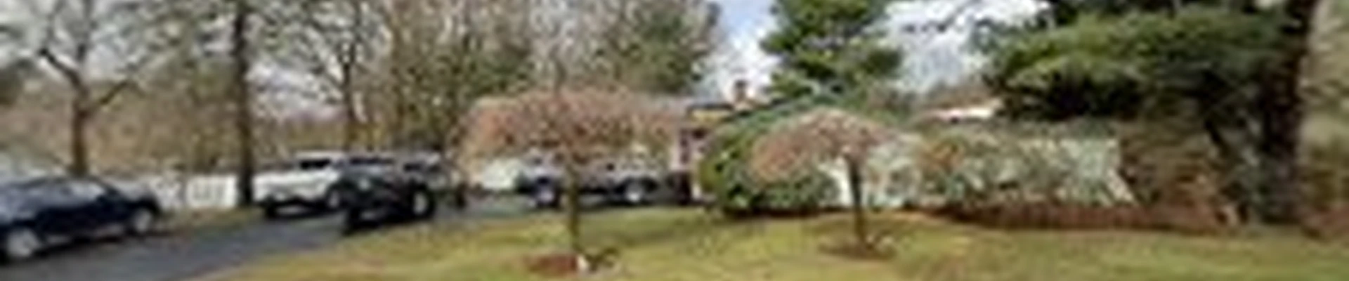 C.L.A landscaping services