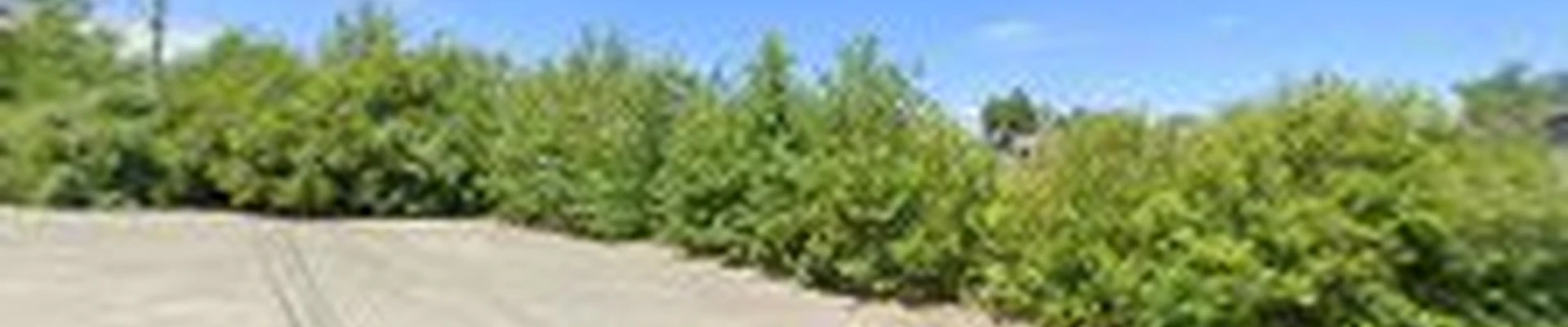 De'Angele Landscape & Construction Corp