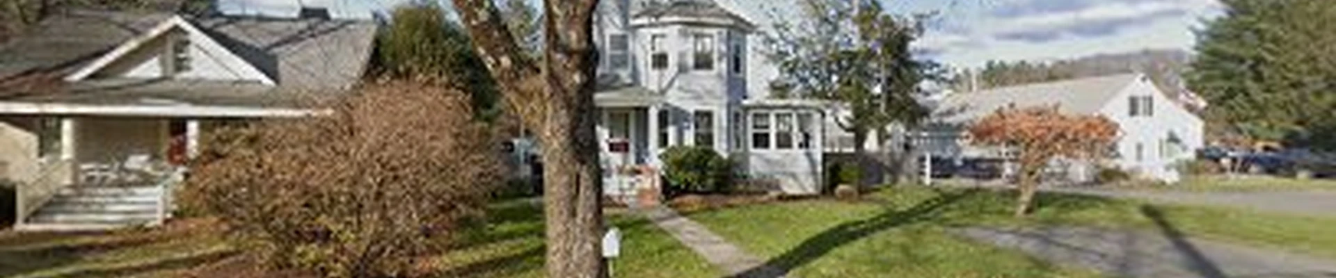 Pure Tree Service Weston