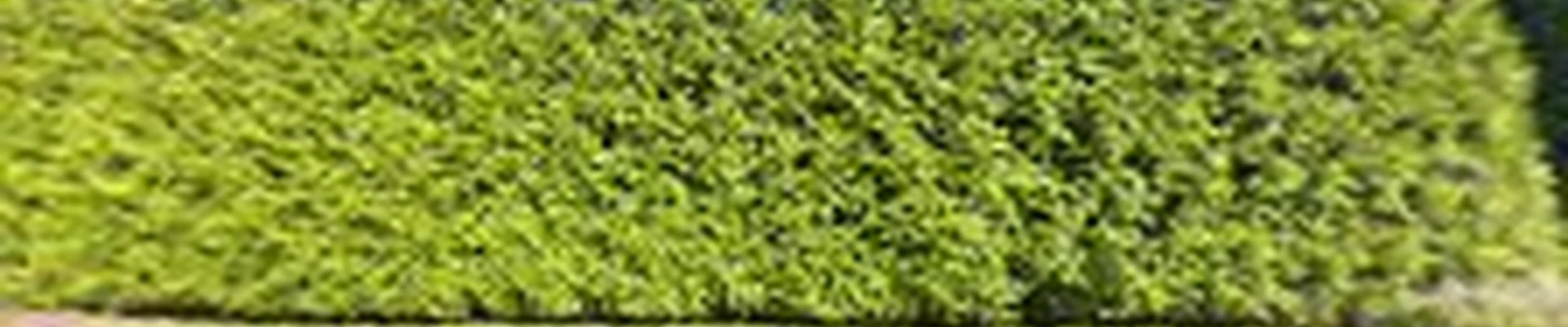 JR's Landscaping & Sons LLC