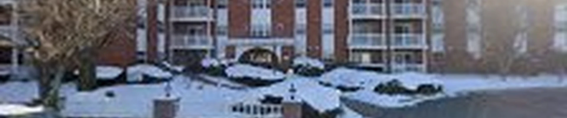 Reis Landscaping Services