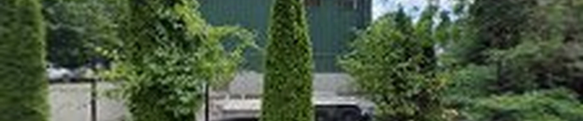 Capillo's Landscaping