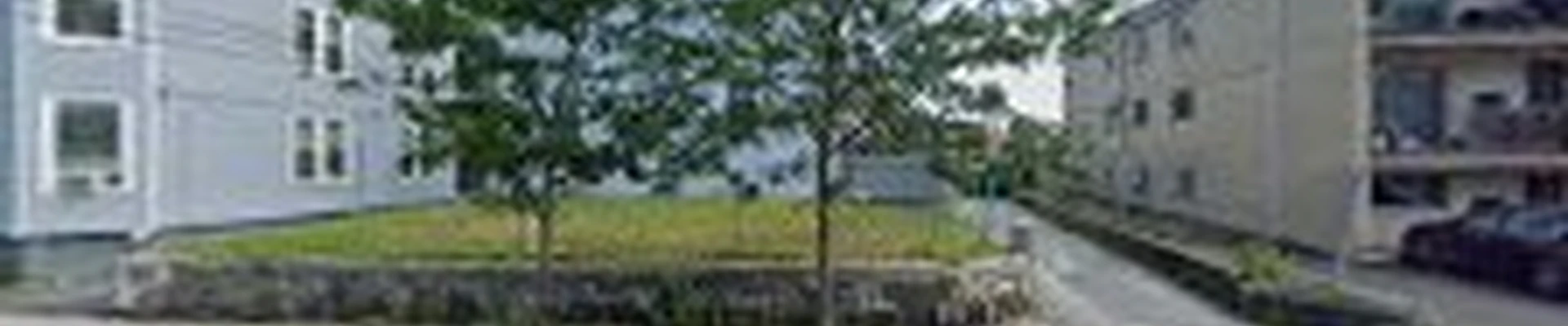 Austin Landscaping & Construction
