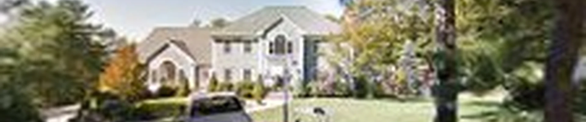 Tringale Landscaping