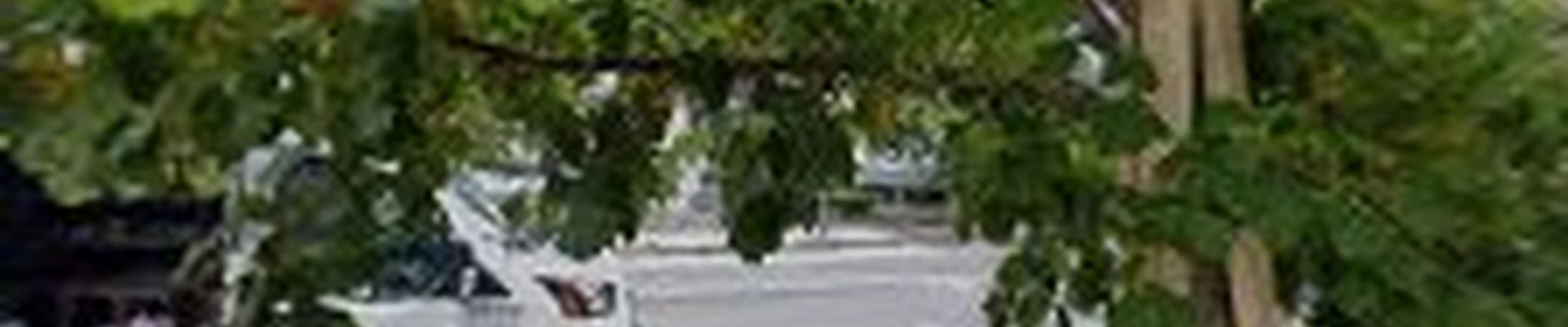 All Gardens Inc.