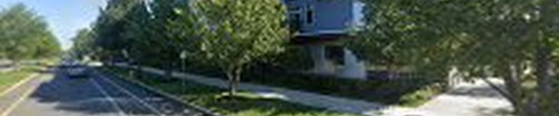 American Elm Landscape