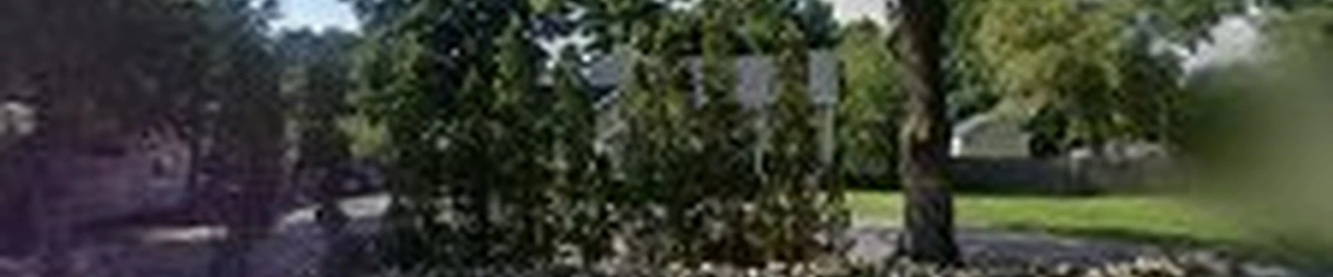 Jim's Affordable Landscaping