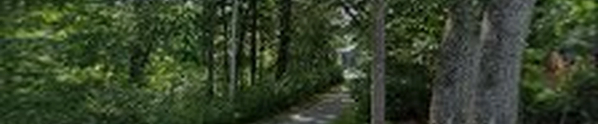 Pineau Landscape Construction