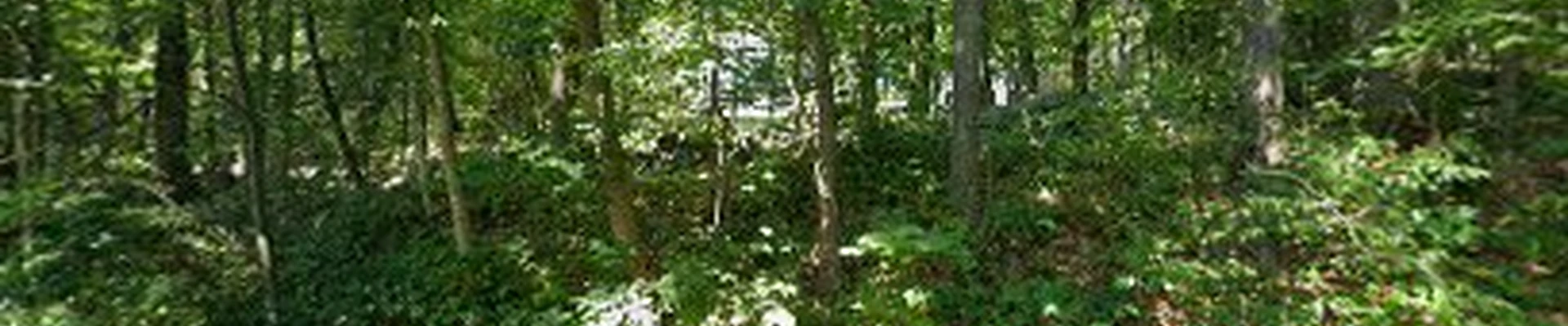 Carlisle Landscape Services