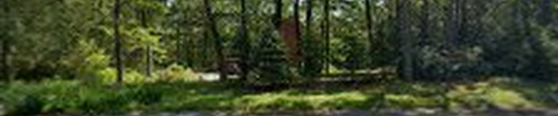 JA Davis Landscaping LLC