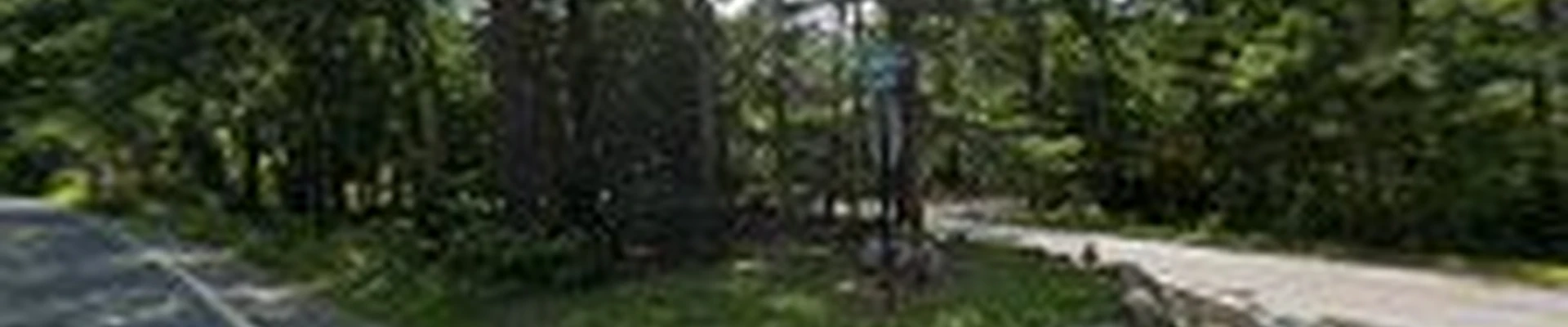 TLC Landscape
