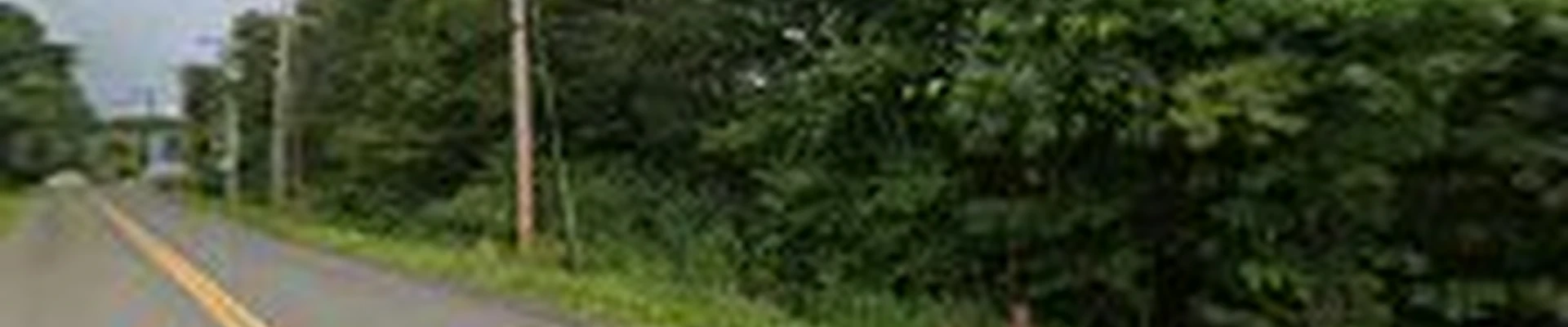 Scenic Landscaping Inc