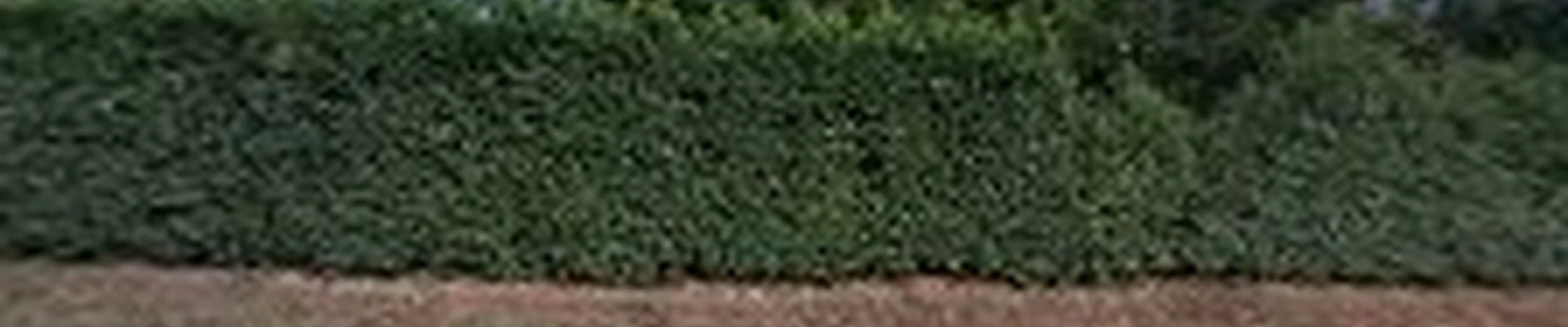 Leons Landscaping Maintenance